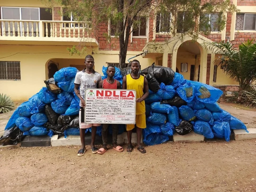 NDLEA - THEWILL NEWS MEDIA NDLEA