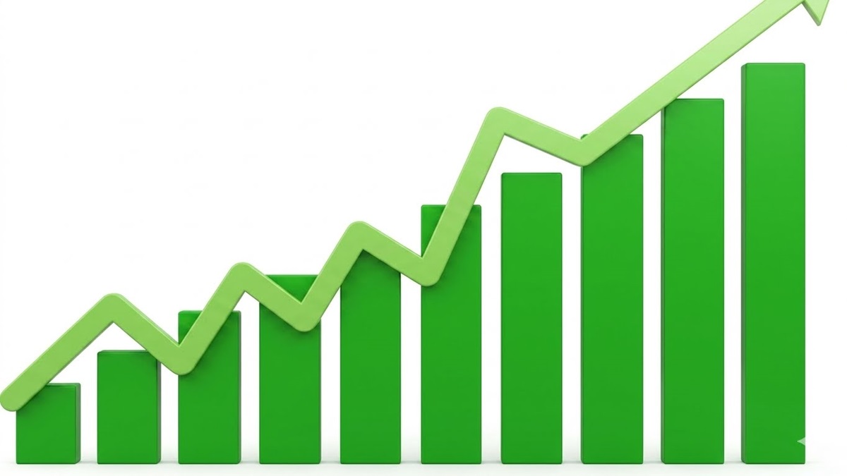 A representation of profit growth - THEWILL NEWS MEDIA A representation of profit growth