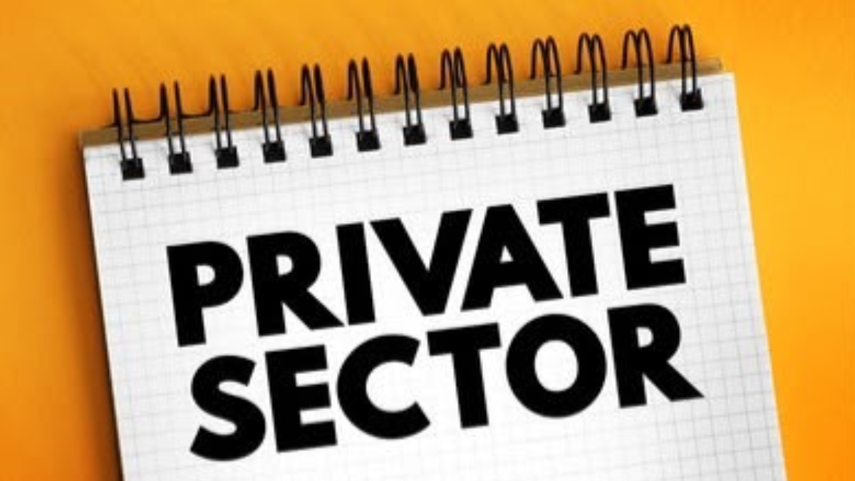 A representation of the private sector - THEWILL NEWS MEDIA Private-Sector