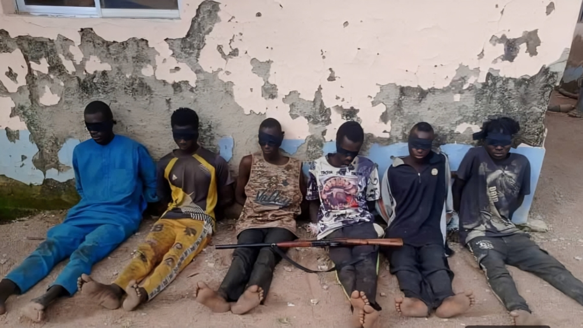 Boko Haram fighter abandoned terrorism and surrendered to troops in Borno State - THEWILL NEWS MEDIA Boko Haram fighter abandoned terrorism and surrendered to troops in Borno State