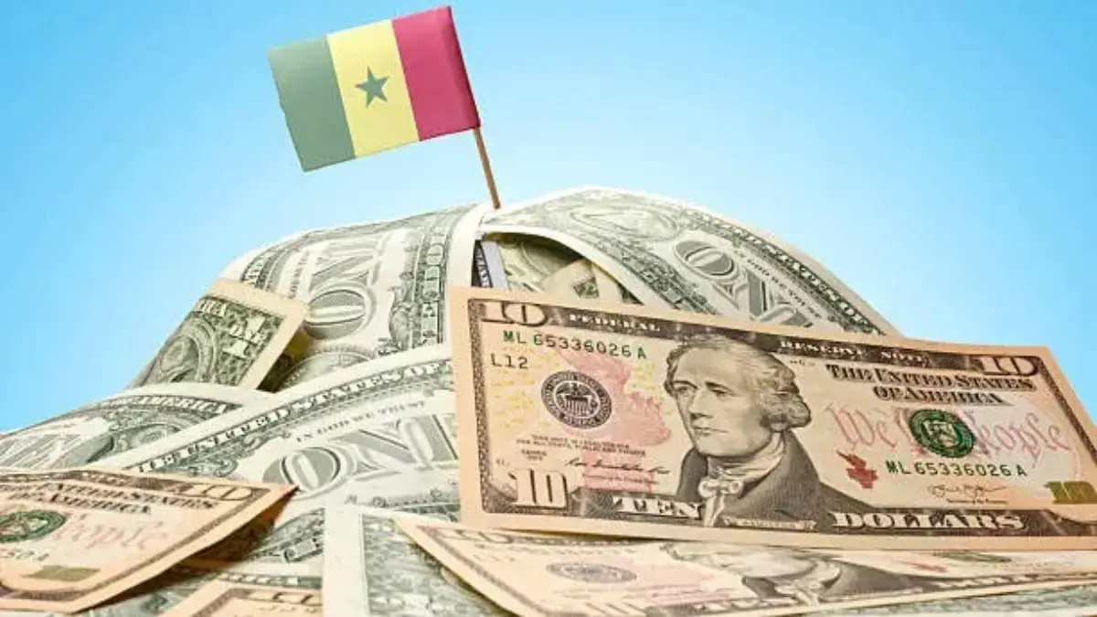 Flag of Senegal sticking in American banknotes - THEWILL NEWS MEDIA Flag of Senegal sticking in American banknotes
