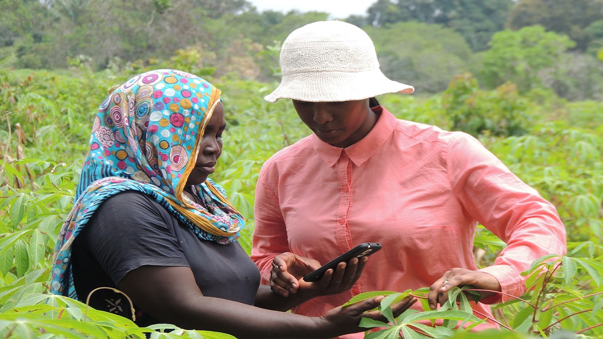 Young innovators - THEWILL NEWS MEDIA World Bank
