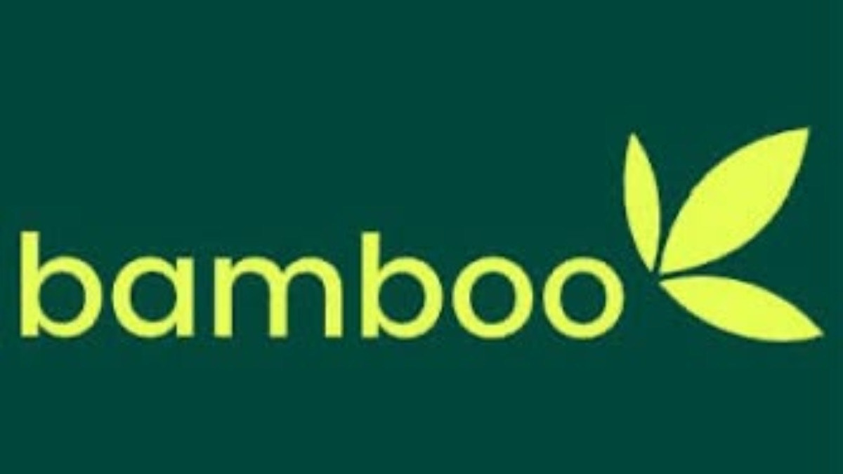 Investors Storm Bamboo as Dangote IPO Triggers Massive App Traffic