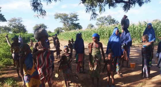 Troops Rescue 22 Kidnap Victims in Niger State - THEWILL NEWS MEDIA Troops