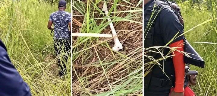 Police Raid Suspected Criminal Camps in Abia - THEWILL NEWS MEDIA Police