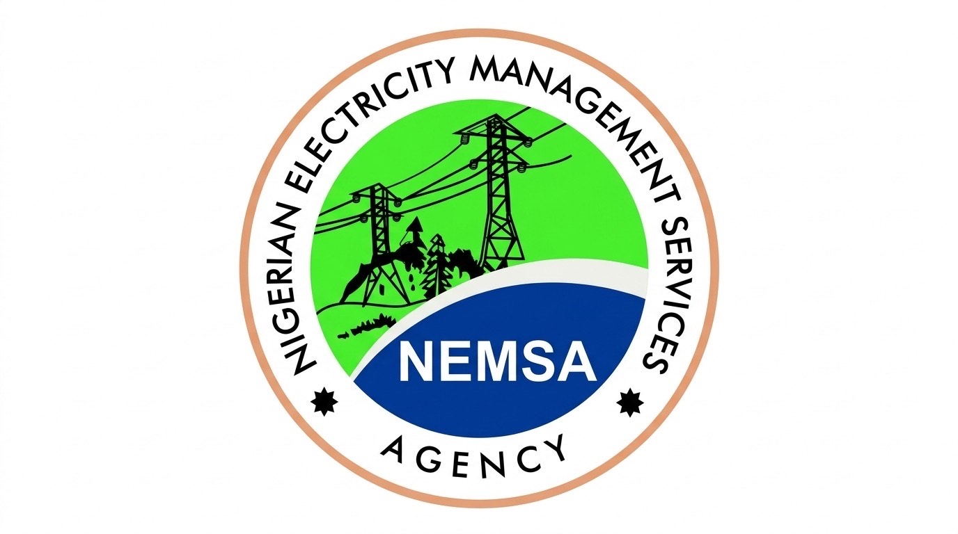 NEMSA logo - THEWILL NEWS MEDIA Auditor-General