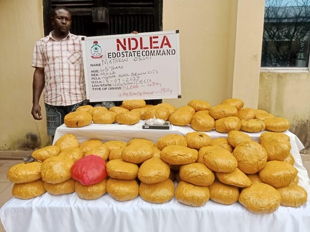 NDLEA arrest - THEWILL NEWS MEDIA NDLEA
