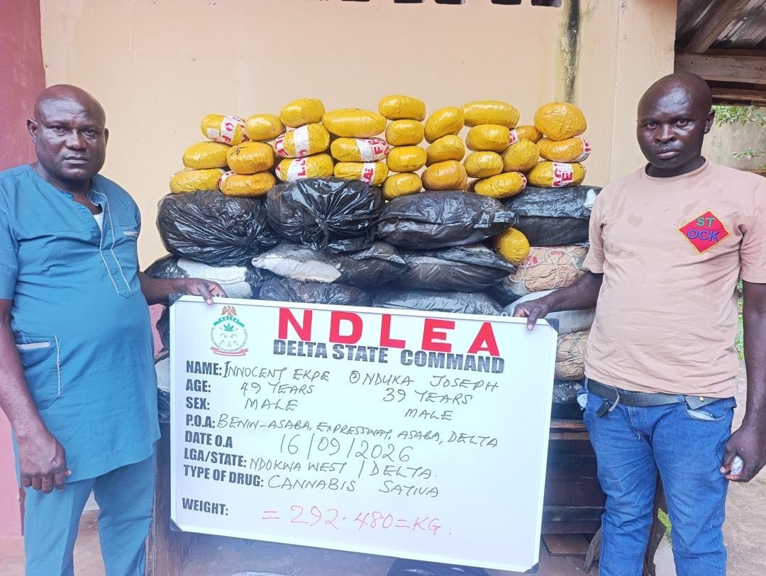 NDLEA arrest - THEWILL NEWS MEDIA