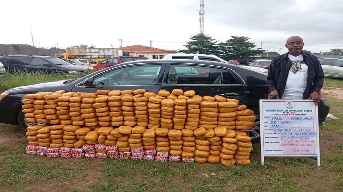 NDLEA arrest in Ondo - THEWILL NEWS MEDIA NDLEA