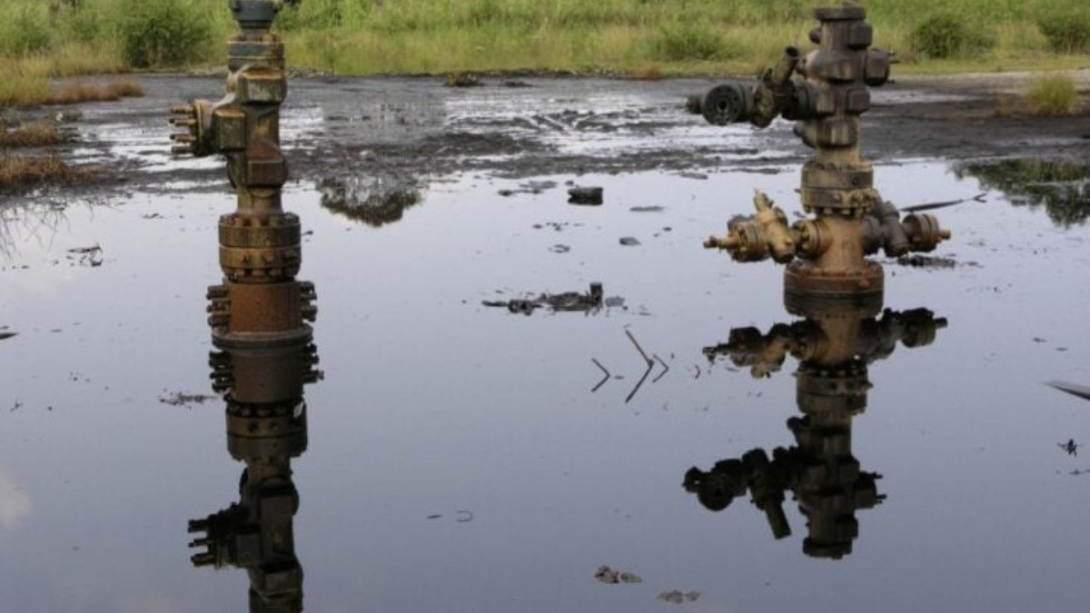 Ogoni land - THEWILL NEWS MEDIA Ogoni land