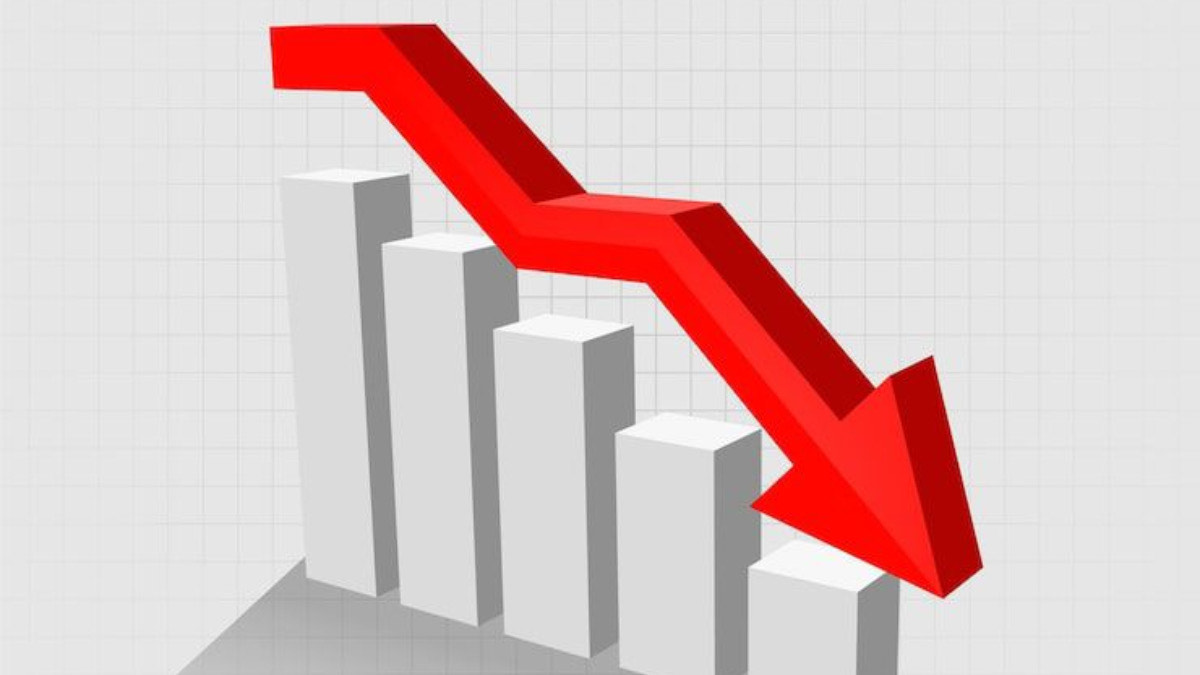 imports decline - THEWILL NEWS MEDIA imports decline