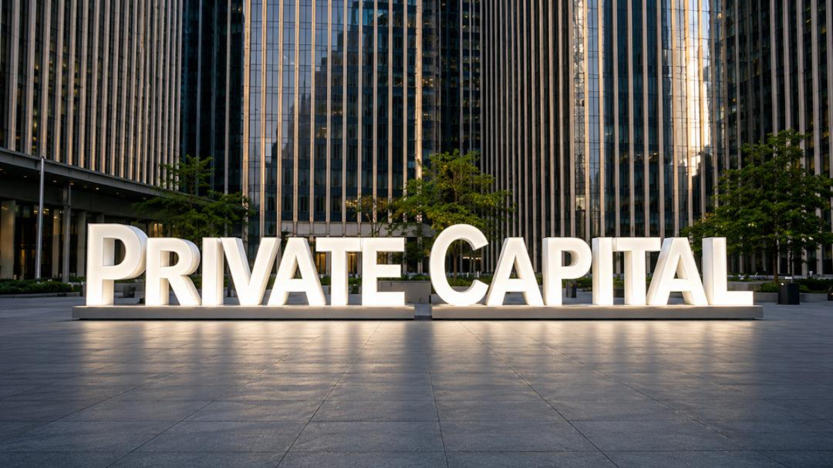 private capital - THEWILL NEWS MEDIA private capital
