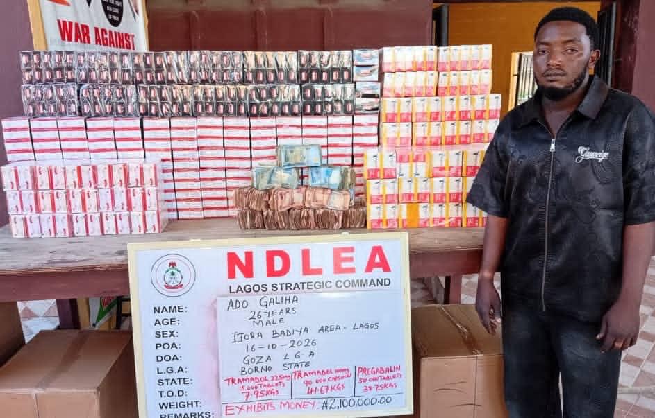 Drug dealer arrested by NDLEA in Lagos - THEWILL NEWS MEDIA NDLEA