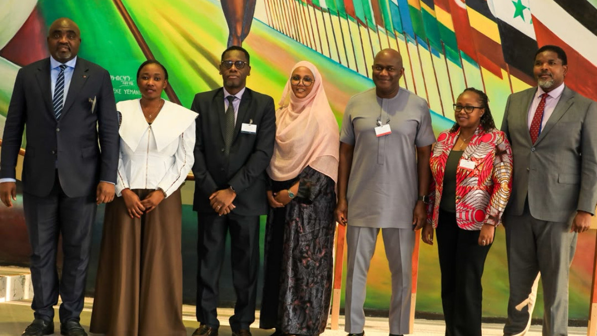 FG Takes Renewed Hope Housing Model to 36 African Countries - THEWILL NEWS MEDIA Housing
