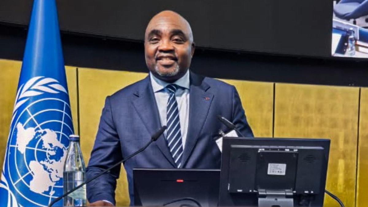 FG Takes Renewed Hope Housing Model to 36 African Countries - THEWILL NEWS MEDIA Housing