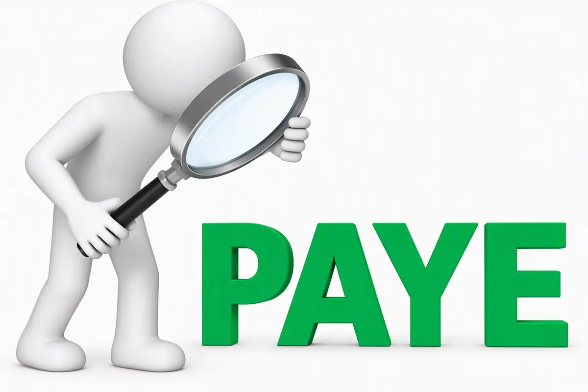 PAYE - THEWILL NEWS MEDIA 3D white figure holding a magnifying glass to inspect the green letters'PAYE'.