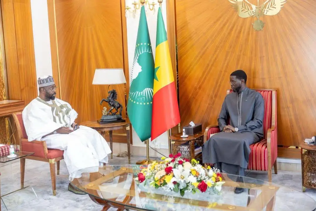 Tinubu's envoy and Senegale president - THEWILL NEWS MEDIA Senegal