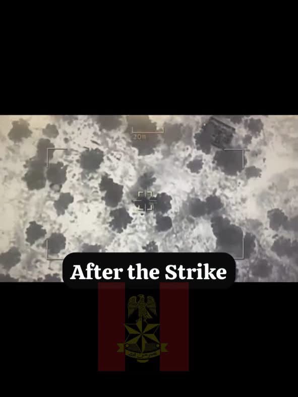Troops airstrike in Lake Chad - THEWILL NEWS MEDIA Lake Chad
